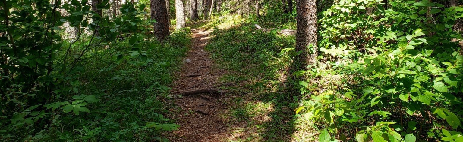 The Leave-No-Trace Principles of RVing