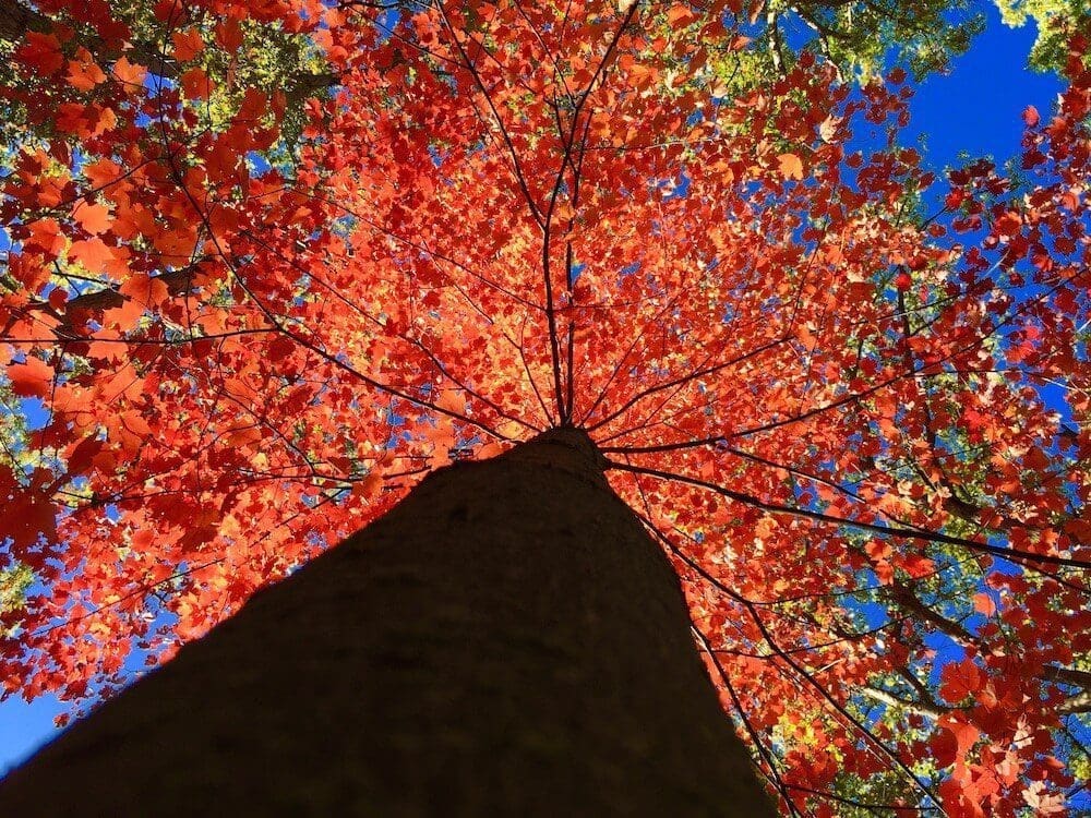 10 trucs pour voyager en VR à l&rsquo;automne